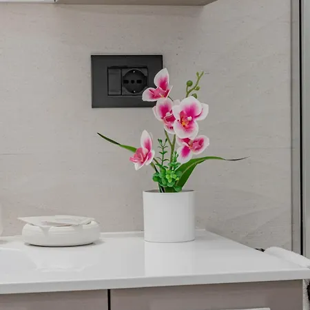 Διαμέρισμα Volta -